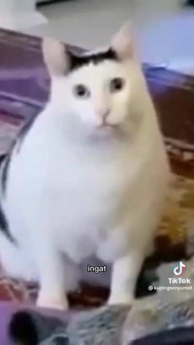 I don't play tiktok. My lil bro just sent me this. Idk why.