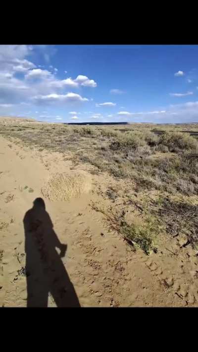 Man from South London sees tumbleweed in Arizona | Credits: @createdbyolu on IG