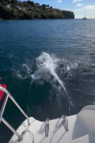 Diving in