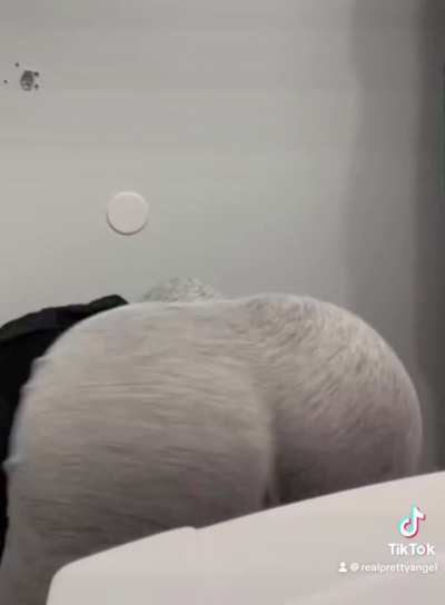 @realprettyangel