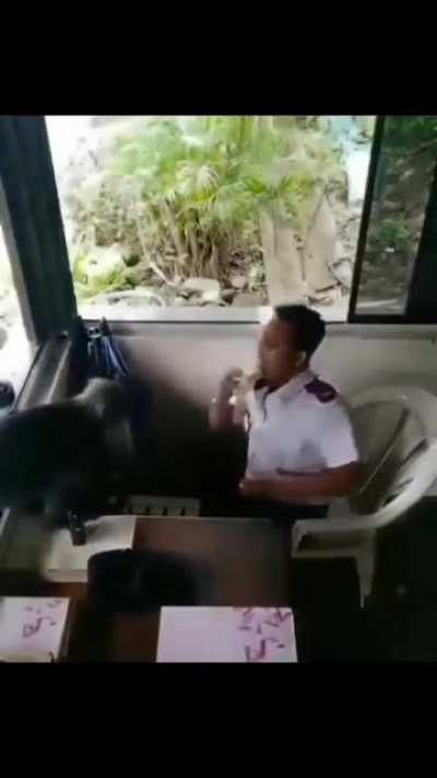 Monke attack
