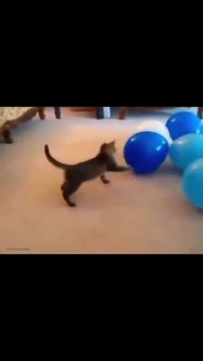 pussy blow