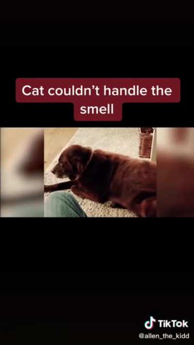 Poor fella