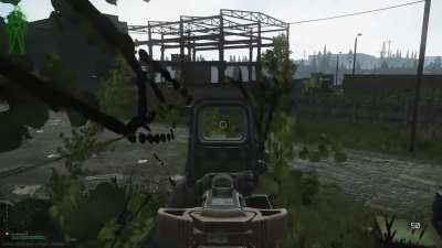 THEY&rsquo;RE IN THE TREES