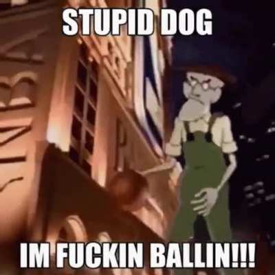 Stupid Dog