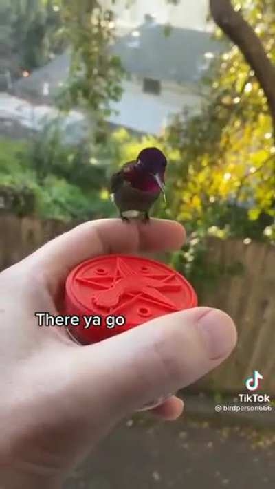 Homie is kicking it like a Disney princess