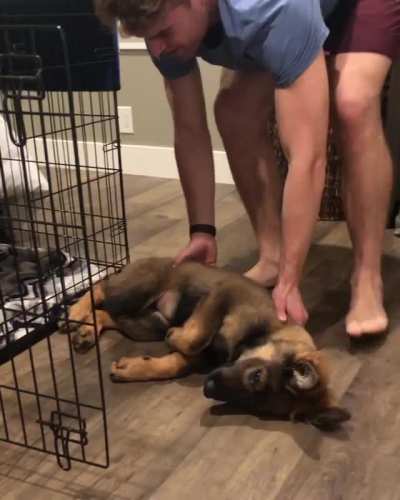 But daaad I don't want to go to bed