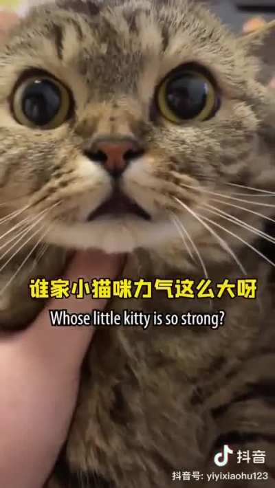 baobao shenanigan