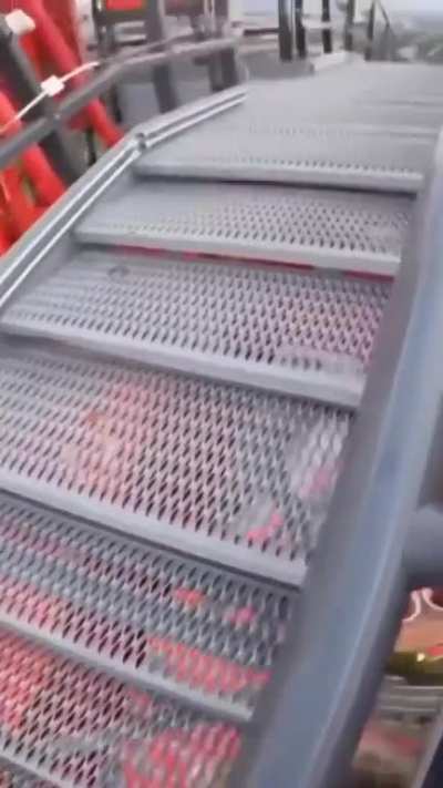 Everybody likes a good roller coaster ride