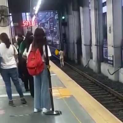 metro surf fans here?
