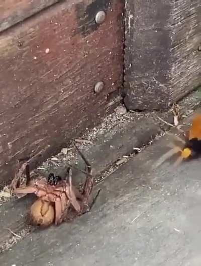 AH HELLL NAH