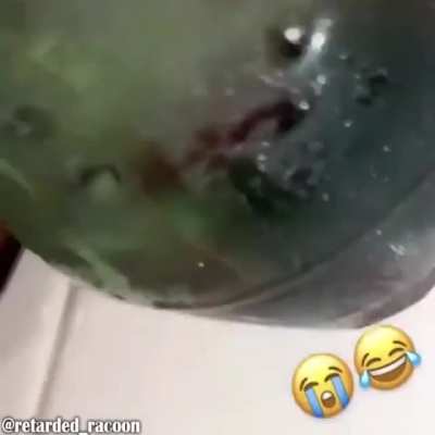 funny wock sluhsh video meme 😁😁😂😂🤣😃😄😂😂😅
