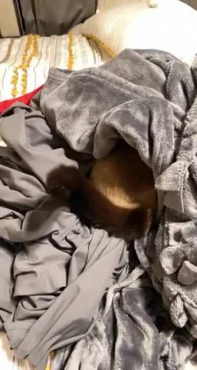 Everybody loves fresh sheets!