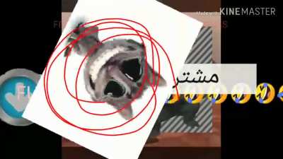 very funny Allah shrek arab dance😂😂🤣🤣وفي المرفق، أبعث بتأكيد على النقل لحقيقة أنه في بولندا وبشكل عام هذا الوقت من هذا العام في اليوم السابق ب. halal no porkc
