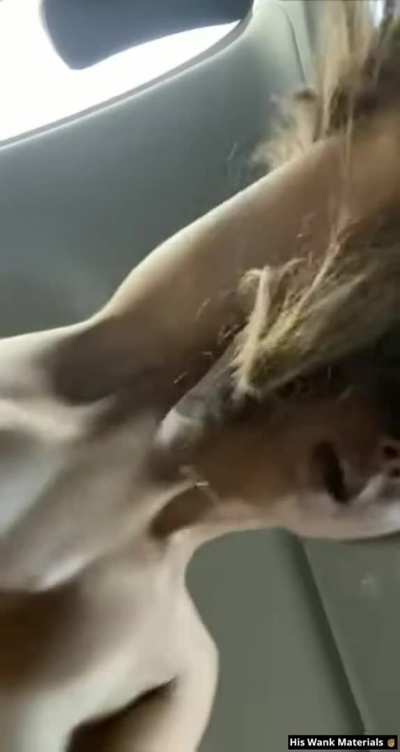 Please God Tell Me Who This Is, Or Link A Full Video.