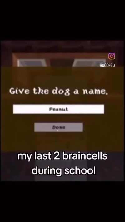 Honest to god idiot