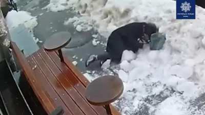 WCGW pypass the safety tape
