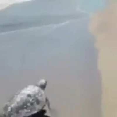 Tem algo mais foda que isso? S&oacute; os esqueleto disso!