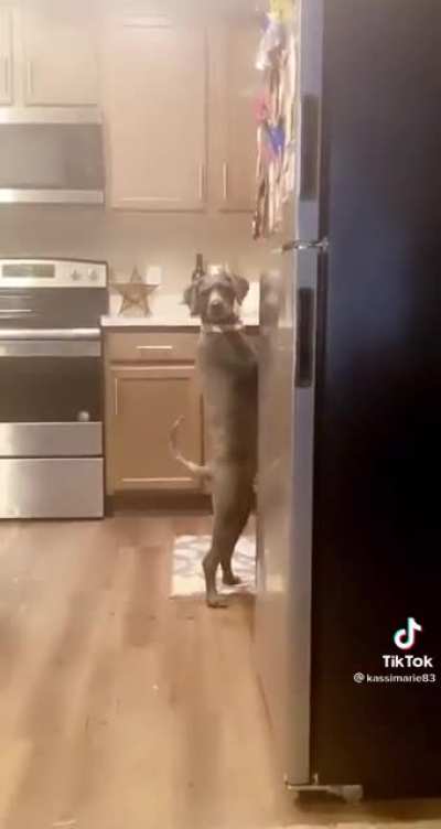 Why yes I am doing dishes and I have casserole in the oven.