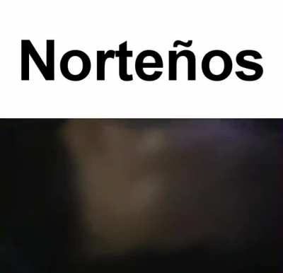 NORTE&Ntilde;IEL