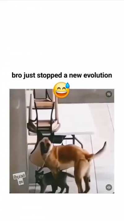 New Evolution .... Coming Soon