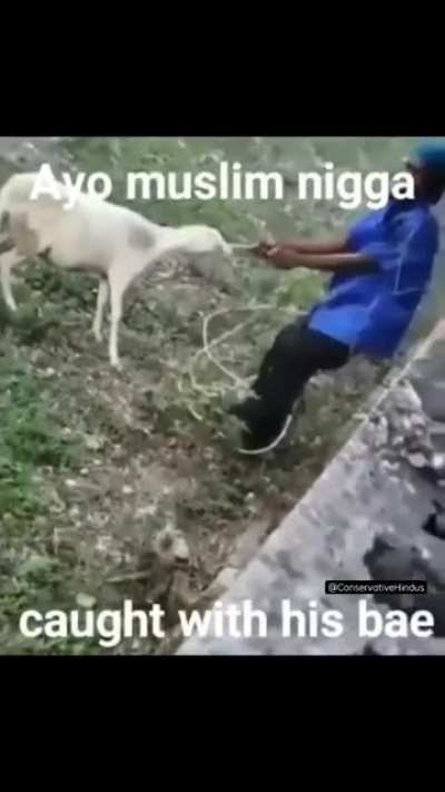 Ayo WTF 😳