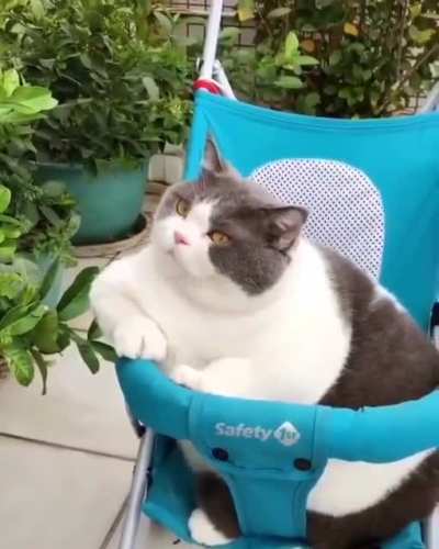 The big baby came to watch outdoors