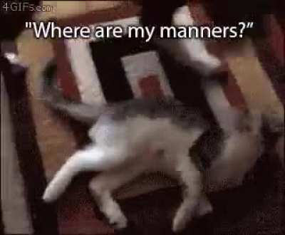 Not OC