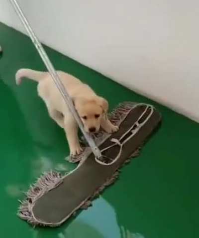 i hep hooman