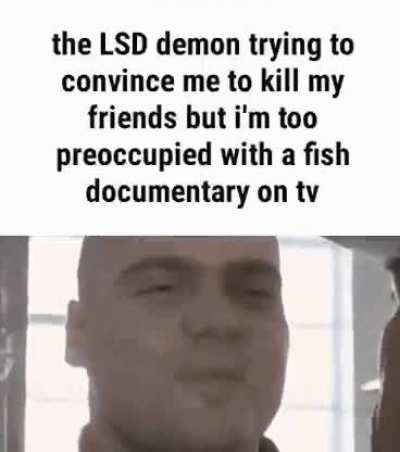 fishy fish mm