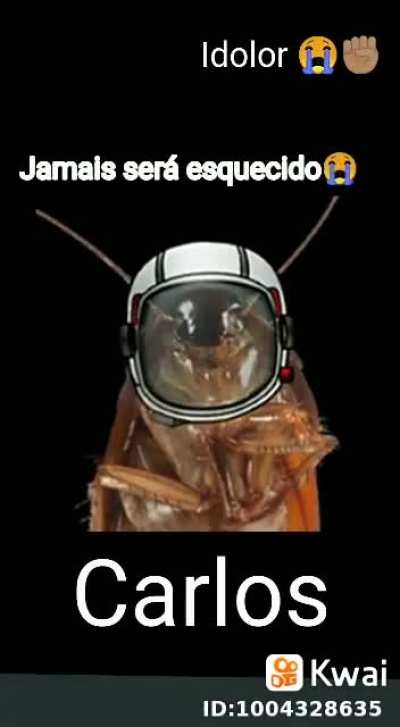 F para o Carlos M&oacute; gente... Digo barata boa v&eacute;i 😔 Gostava quando ele levava uma Go pro pro banheiro das meninas na escola sem elas v&ecirc;em, vou sentir sdds dele 😢