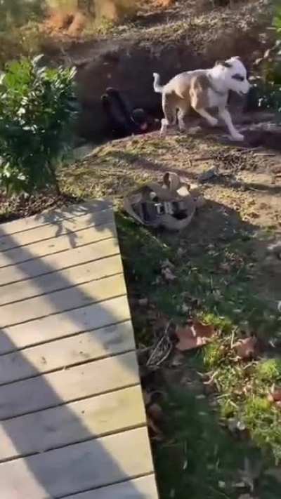 The kid wasn&rsquo;t going to make it anyways!