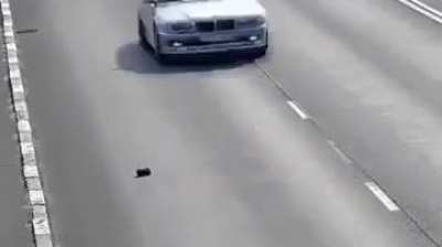 Vicious man leaves kitten on the highway to be run over