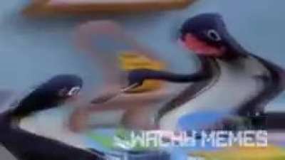 Quando chego no almo&ccedil;o puto pq perdi no humor negro