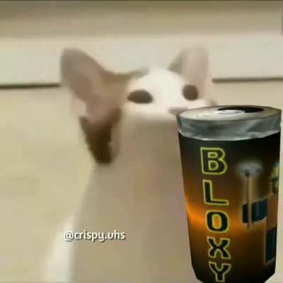 Salud