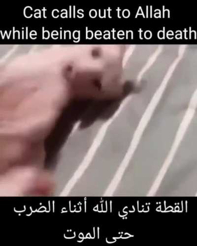 Bazen yaşamımı sorguluyorum