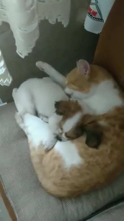 Cuteness Overload!