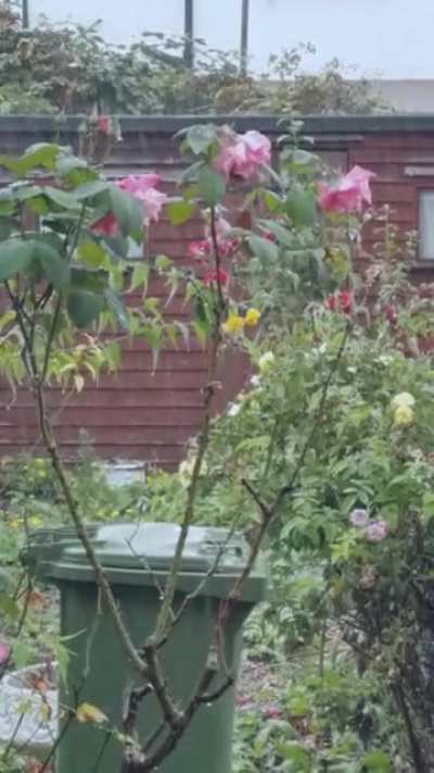 Rain after a heatwave