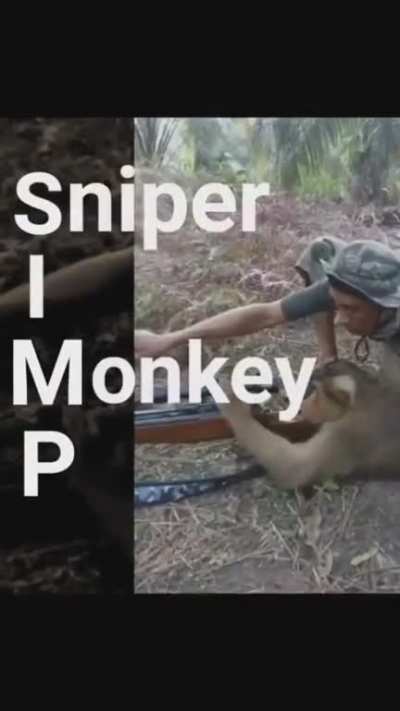 Yes, I'm a SIMP