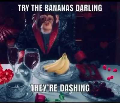 Monke date, solo pi&eacute;nsalo