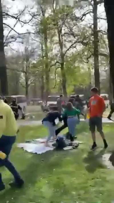 Police in Breda Park, Netherlands today 27/04/20 [OC]