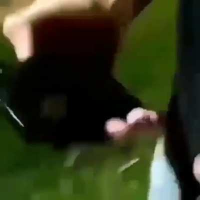 Lenda esse home da carça erguida