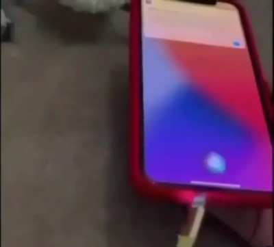 Siri what are you doing