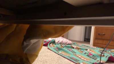 AA-