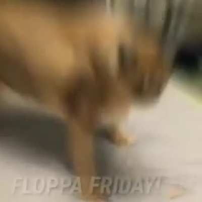 That time of the week
