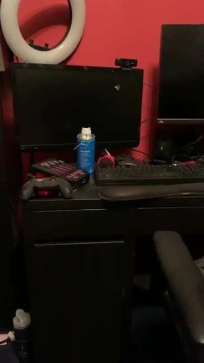 Didn&rsquo;t want to swat at the moth while it was on the monitor