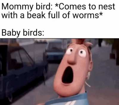 Time for food