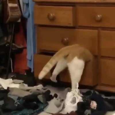 Trying to Find Your Siblings Stash&hellip;