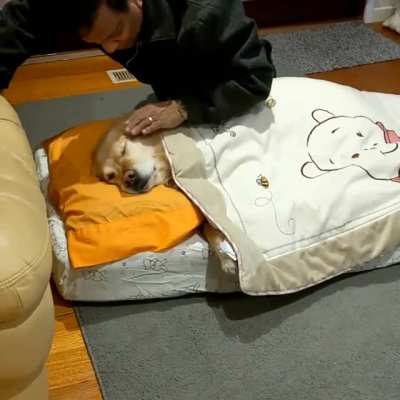 Dad didn't want a dog in his house. Dad now: