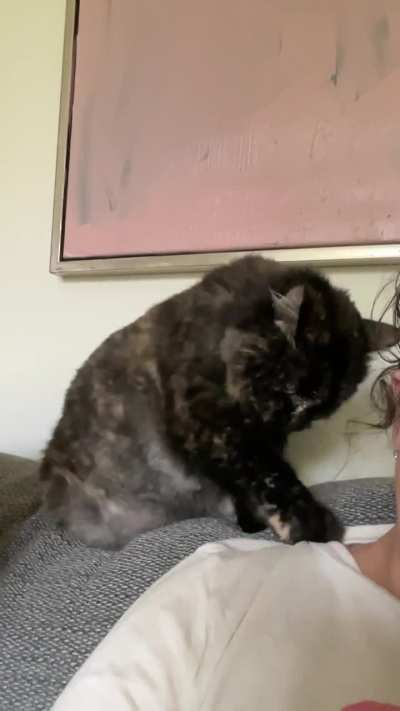Demanding pets